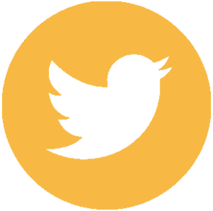 MyRealtorSamvel Twitter